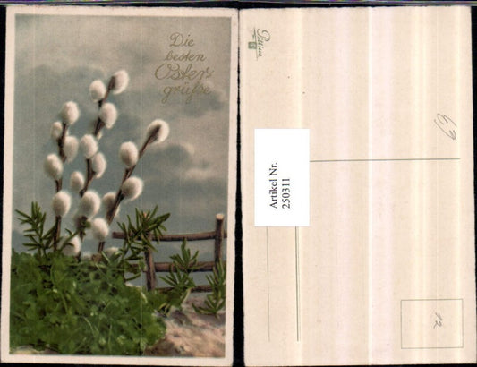 250311, Easter pussy willows palm branches wooden fence
