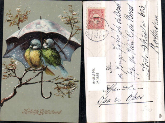 250385,Präge Litho AK Vögel Blaumeisen Ast Schirm