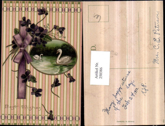 250386,Präge Litho AK Schwäne Passepartout Blumen Veilchen Schleife