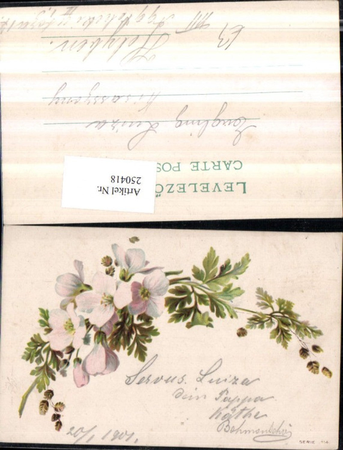 250418, Flowering branch blossoms flowers leaves