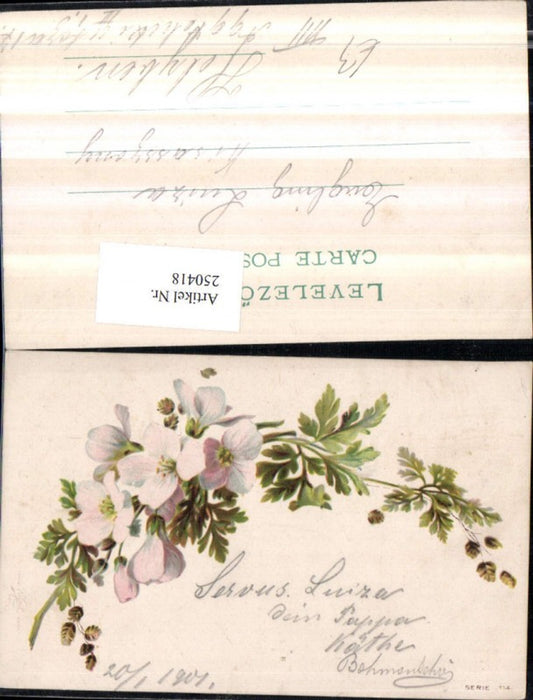250418, Flowering branch blossoms flowers leaves