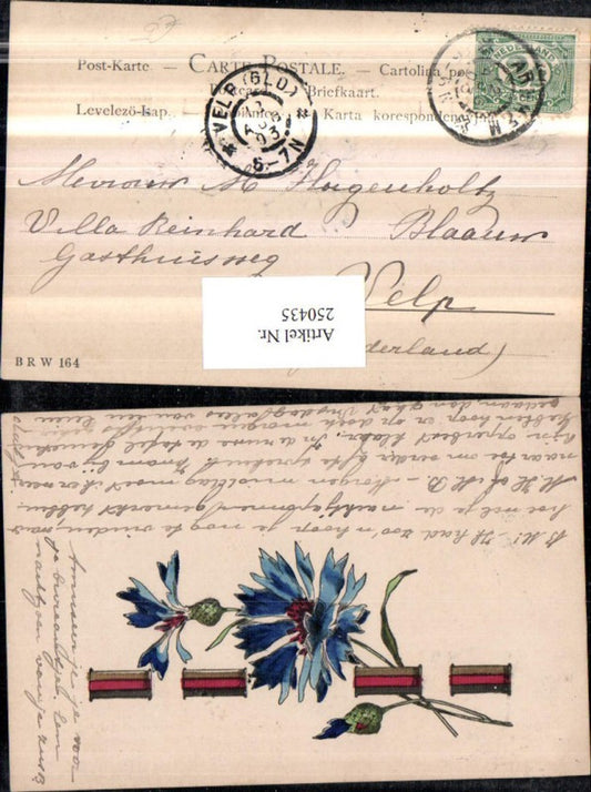 250435, embossed AK flowers cornflowers