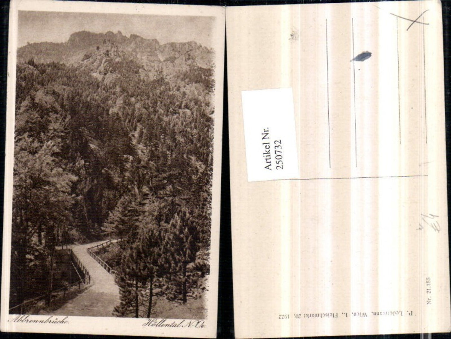 250732,Höllental Abbrennbrücke b. Nasswald Schwarzau im Gebirge