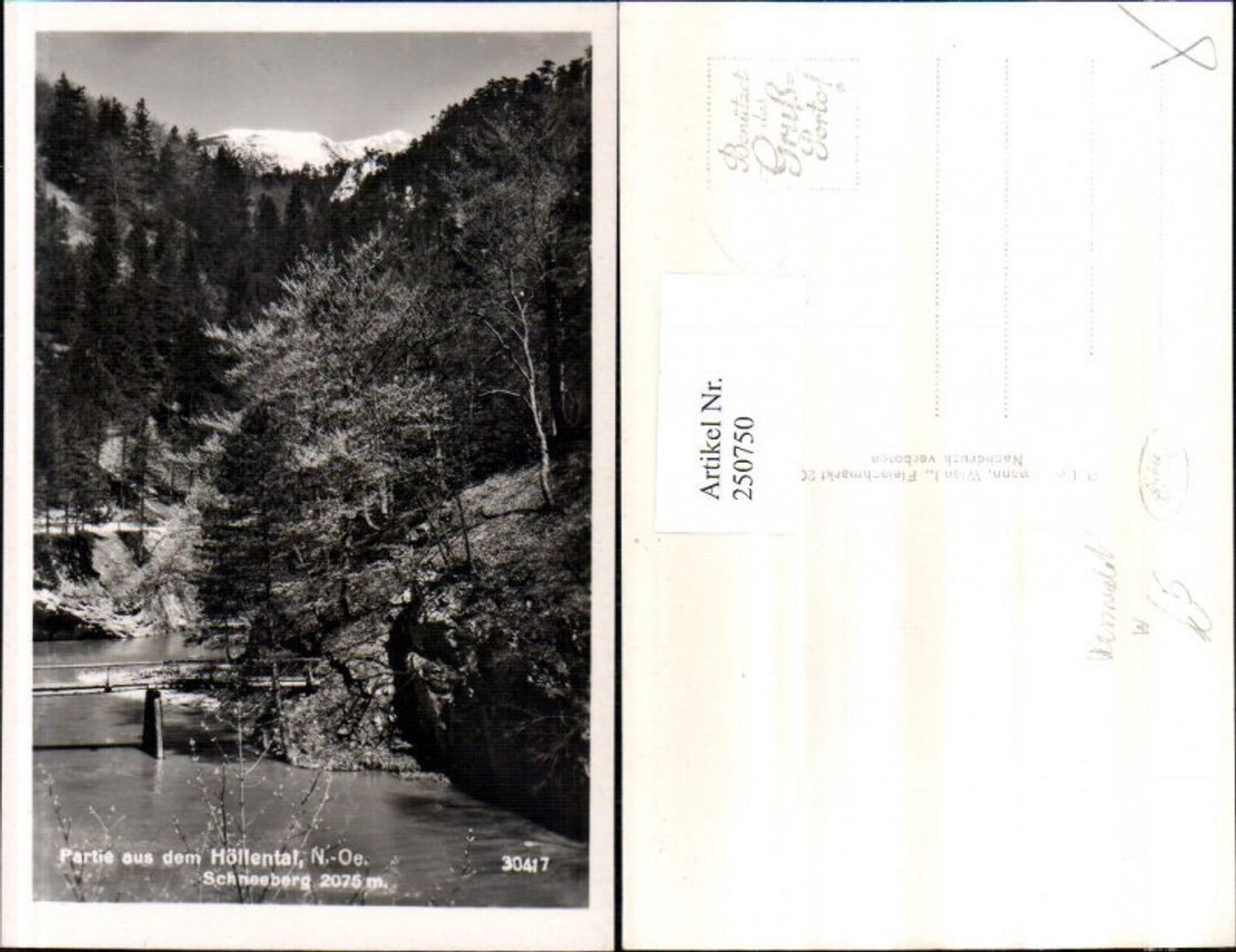 250750,Partie aus d. Höllental m. Schneeberg b. Schwarzau im Gebirge