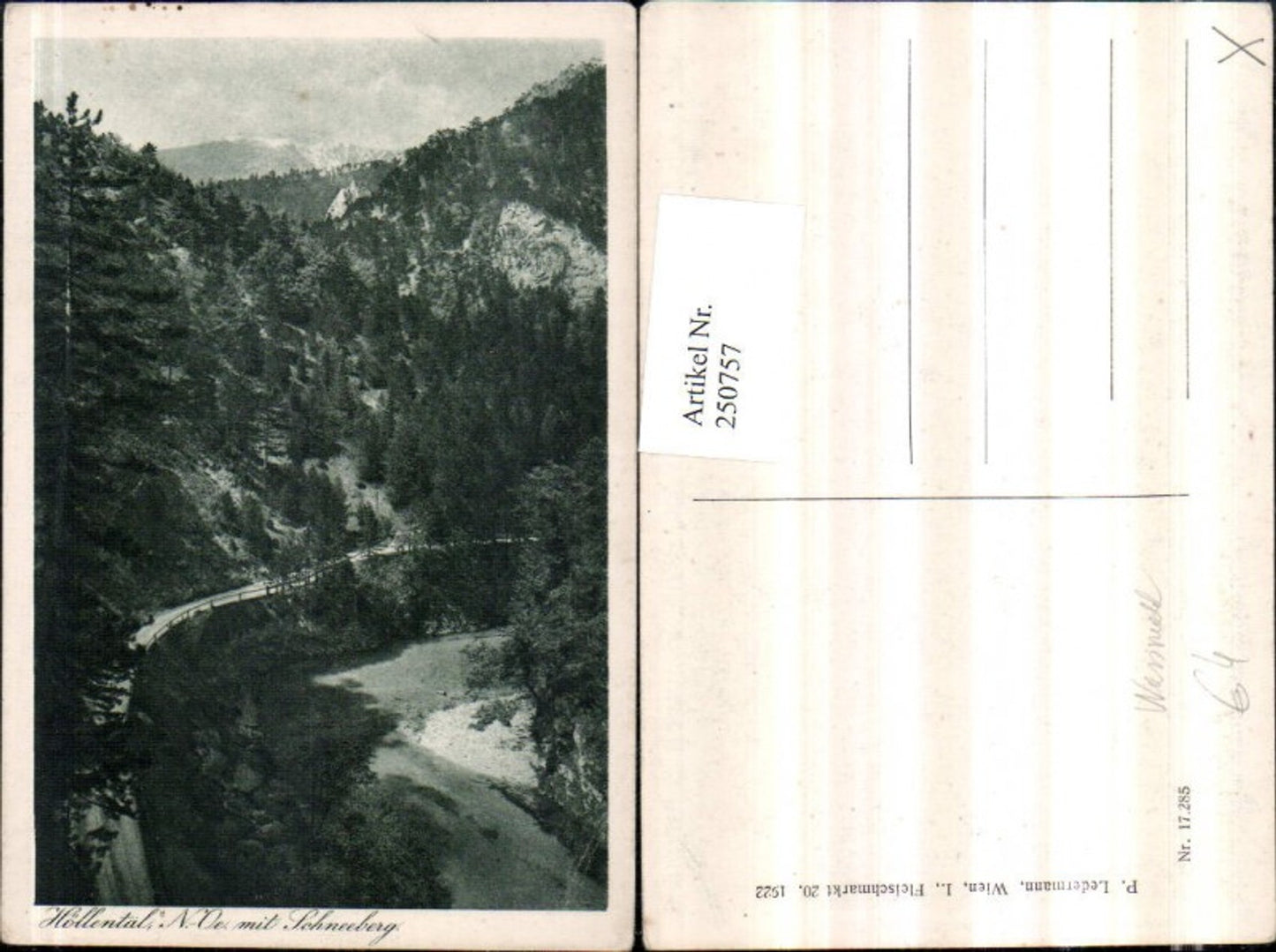 250757,Höllental b. Nasswald Schwarzau im Gebirge m. Schneeberg