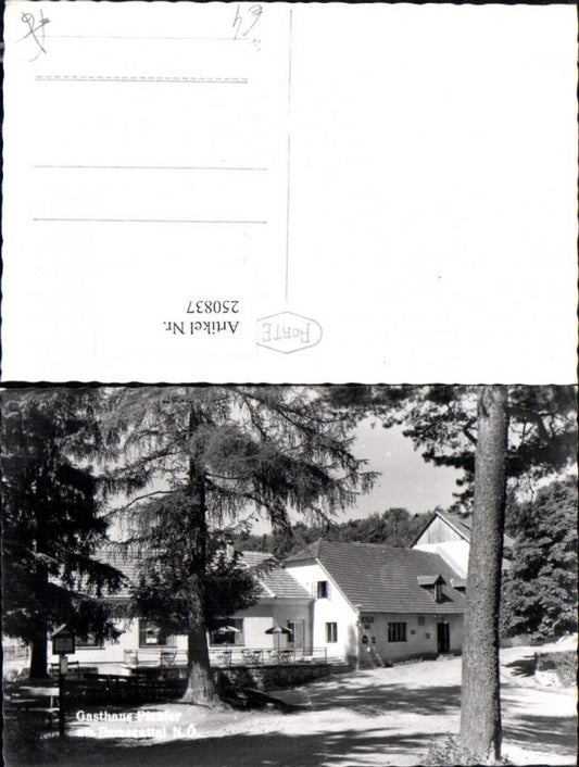 250837,Gasthaus Pichler am Ramssattel b. Kirchberg am Wechsel