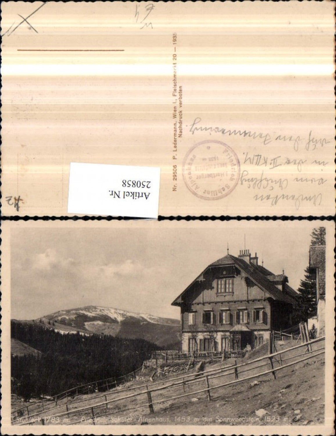 250858,Friedrich Schüler Alpenhaus am Sonnwendstein m. Stuhleck b. Semmering