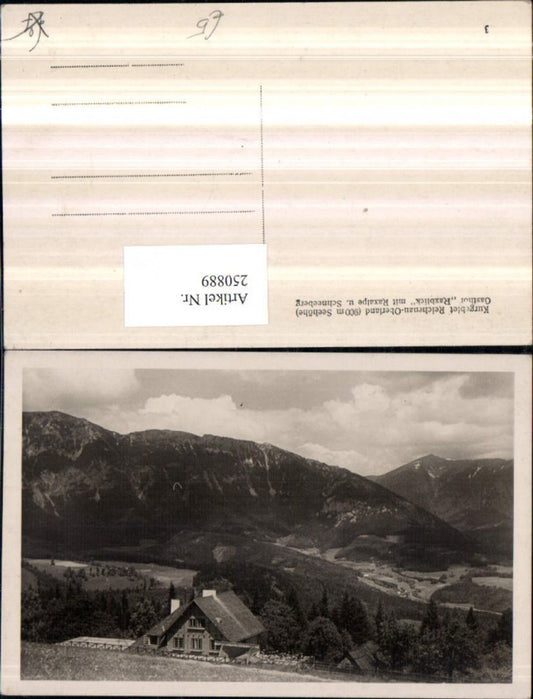 250889,Reichenau Gasthof Raxblick m. Raxalpe u. Schneeberg