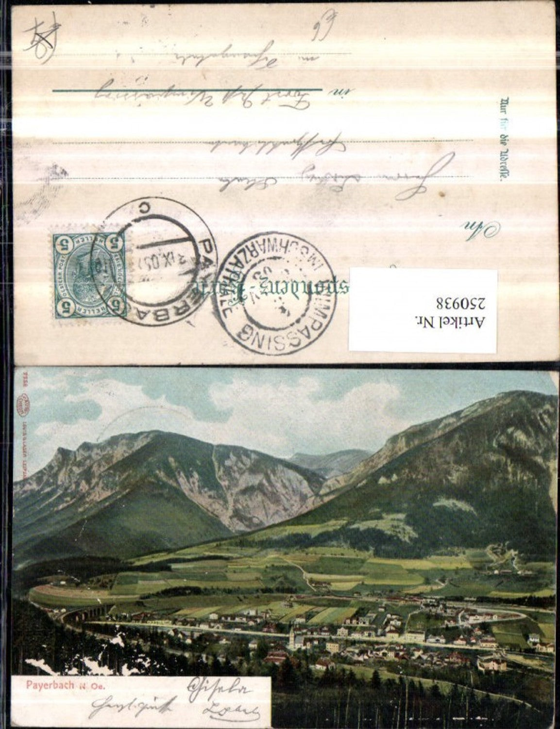 250938,Payerbach Totale