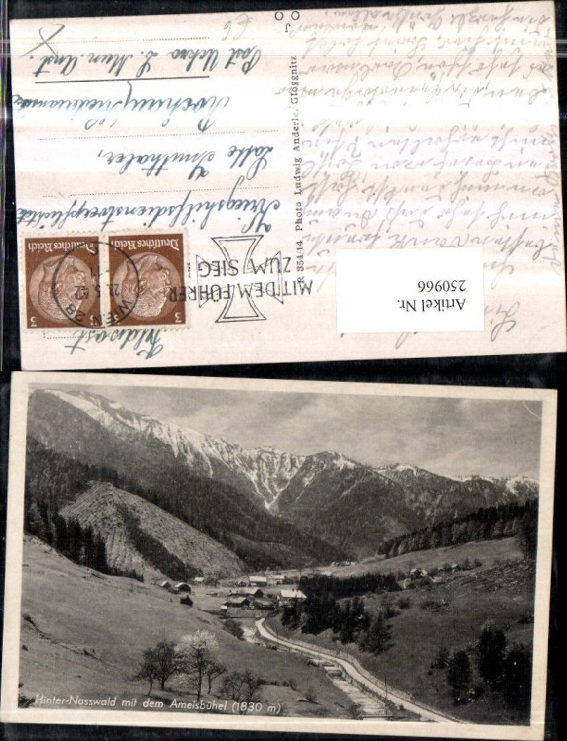 250966,Hinter-Nasswald m. d. Ameisbühel b. Schwarzau im Gebirge