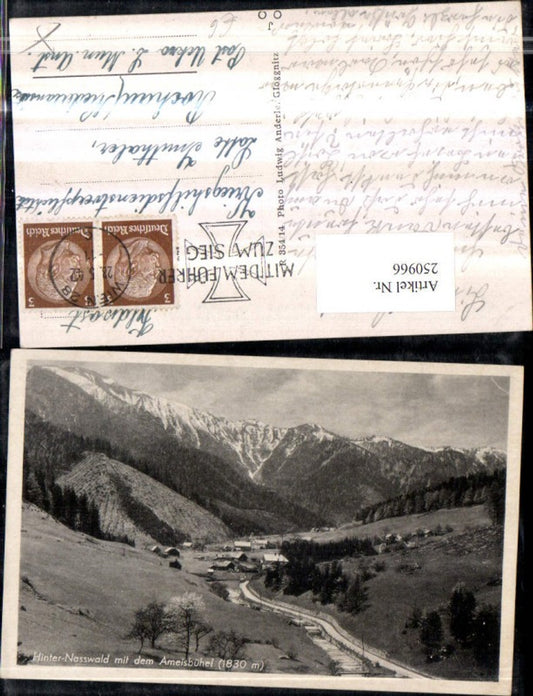 250966,Hinter-Nasswald m. d. Ameisbühel b. Schwarzau im Gebirge