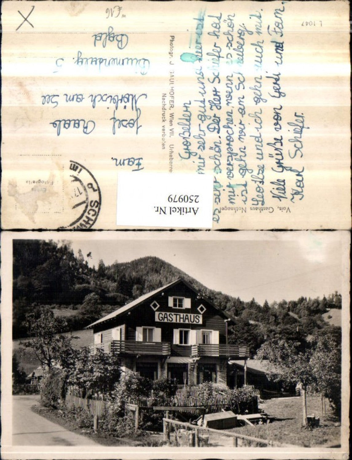 250979,Gasthaus Nothnagel b. Vois Schwarzau im Gebirge