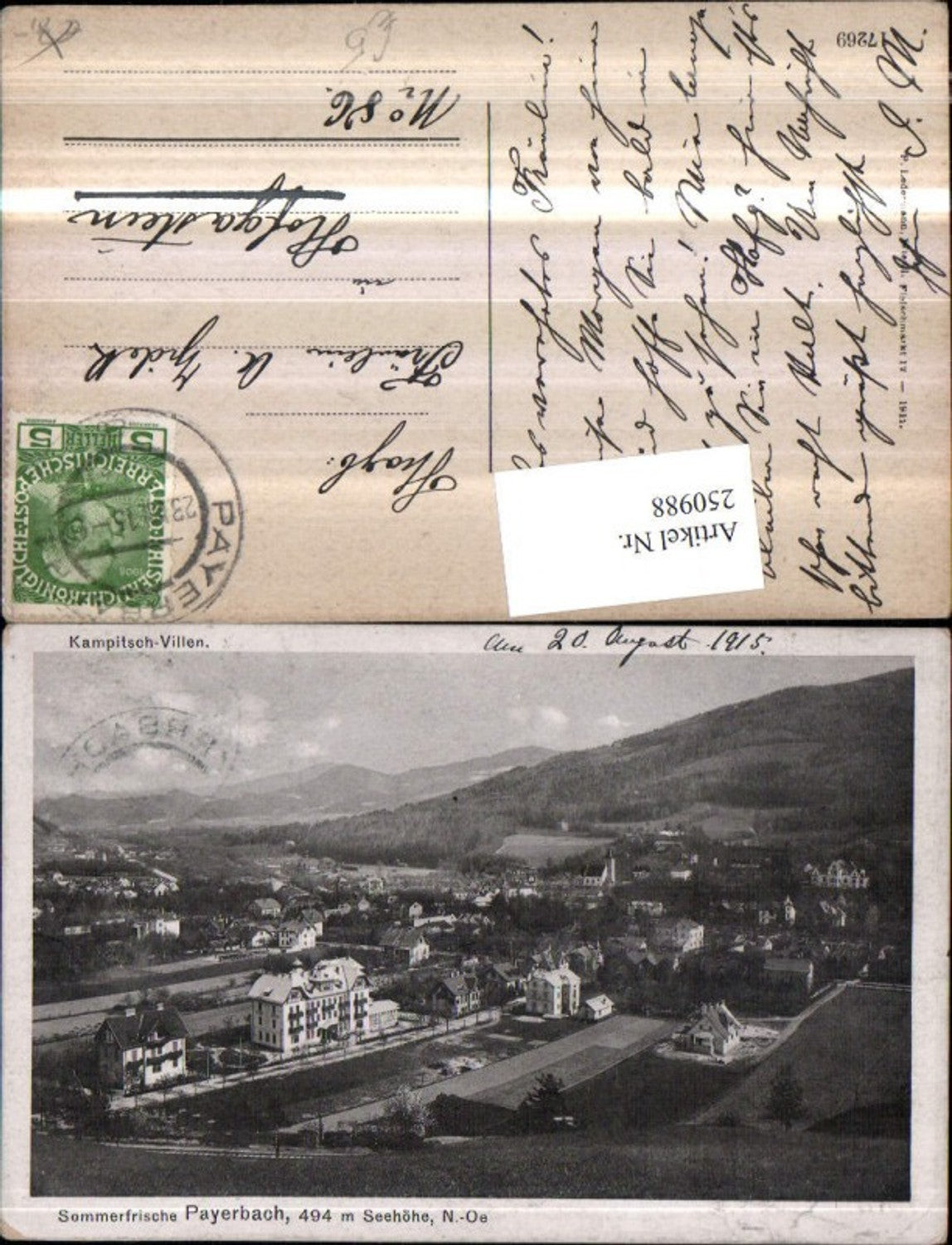 250988,Payerbach Totale Kampitsch-Villen
