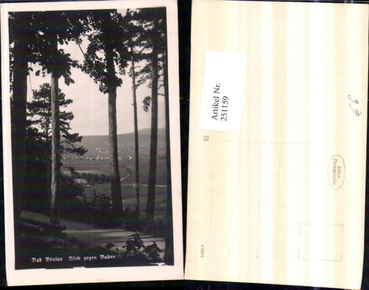 251159,Bad Vöslau Blick geg. Baden