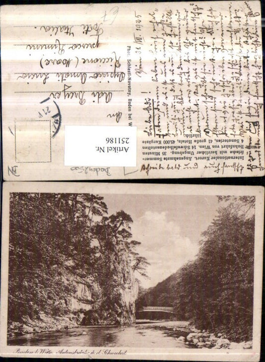 251186,Baden b. Wien Antonsbrücke über d. Schwechat Partie