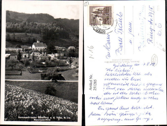 251285,Göstling an d. Ybbs Teilansicht Narzissenfeld Wiese
