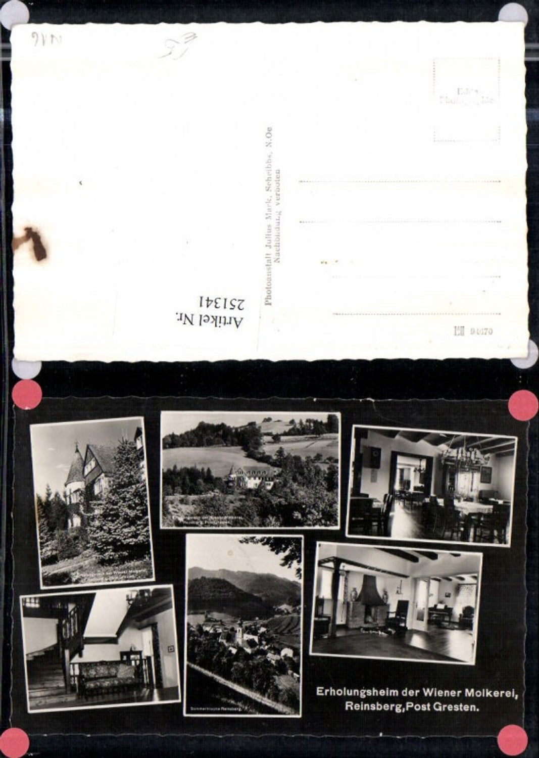 251341,Reinsberg b. Gresten Totale Erholungsheim d. Wiener Molkerei Mehrbildkarte