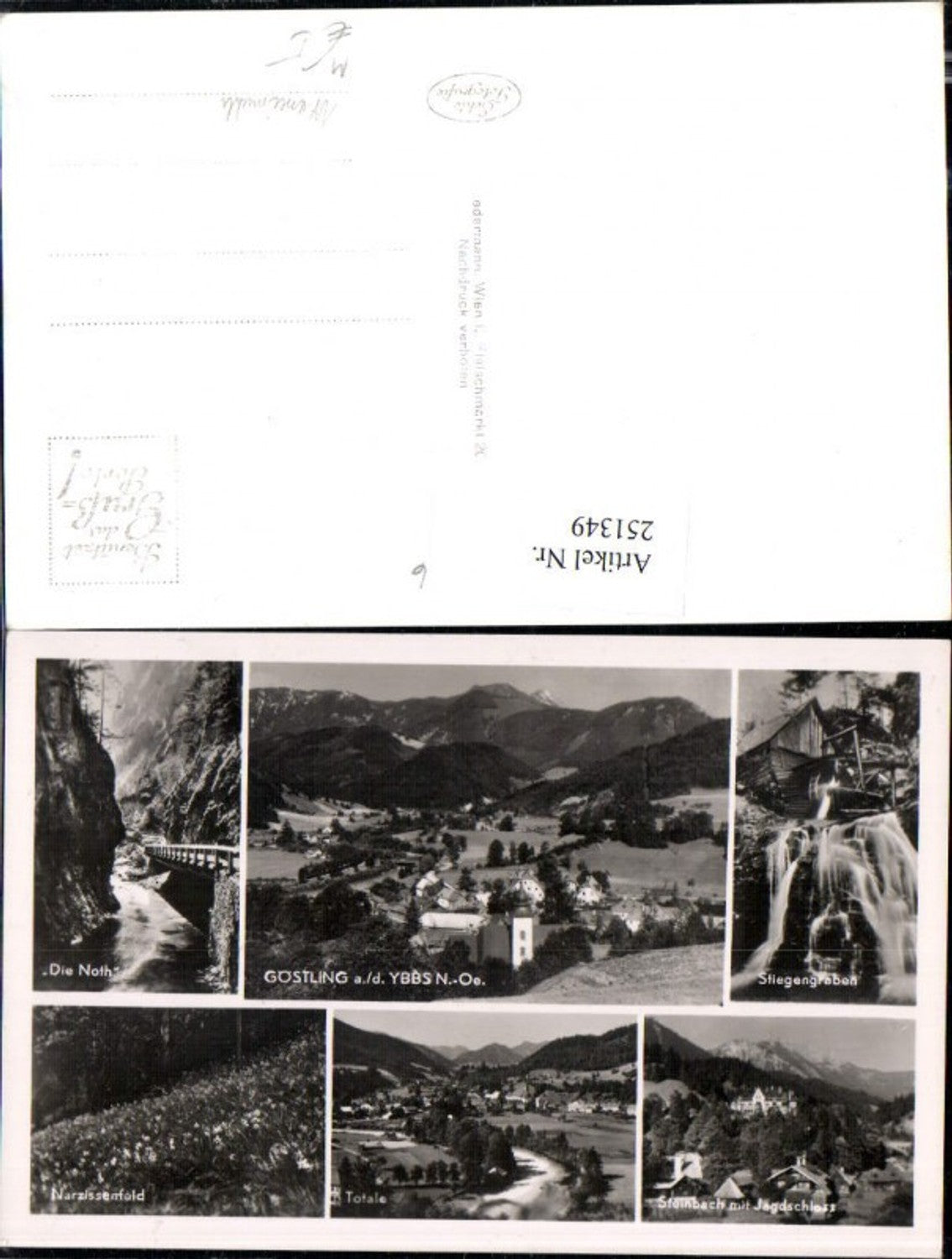251349,Göstling an d. Ybbs Totale Stiegengraben Narzissenfeld Wassermühle Steinbach Jagdschloss Mehrbildkarte