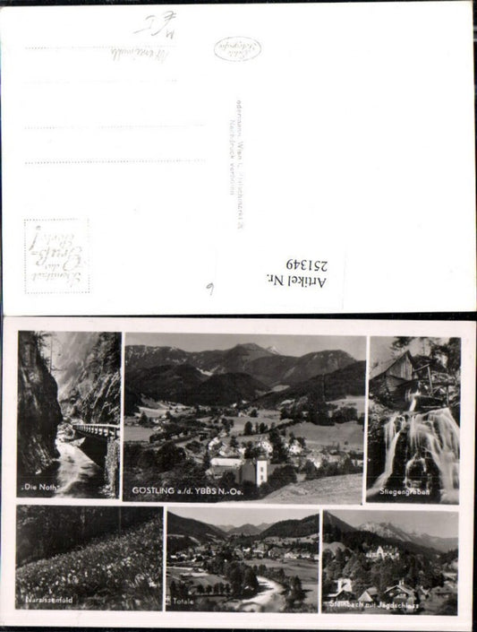 251349,Göstling an d. Ybbs Totale Stiegengraben Narzissenfeld Wassermühle Steinbach Jagdschloss Mehrbildkarte