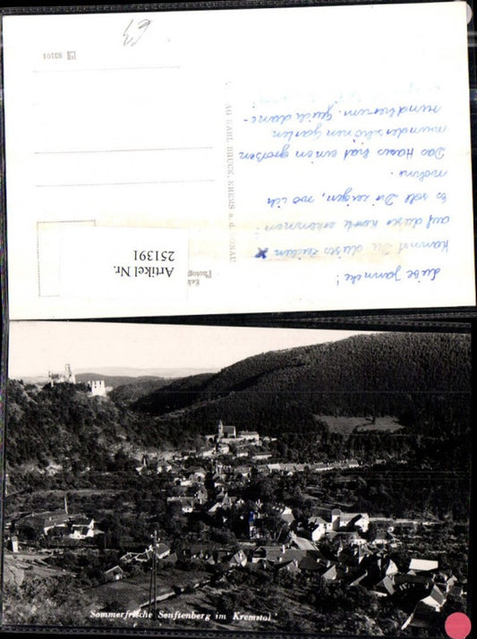 251391,Senftenberg im Kremstal Totale m. Burgruine