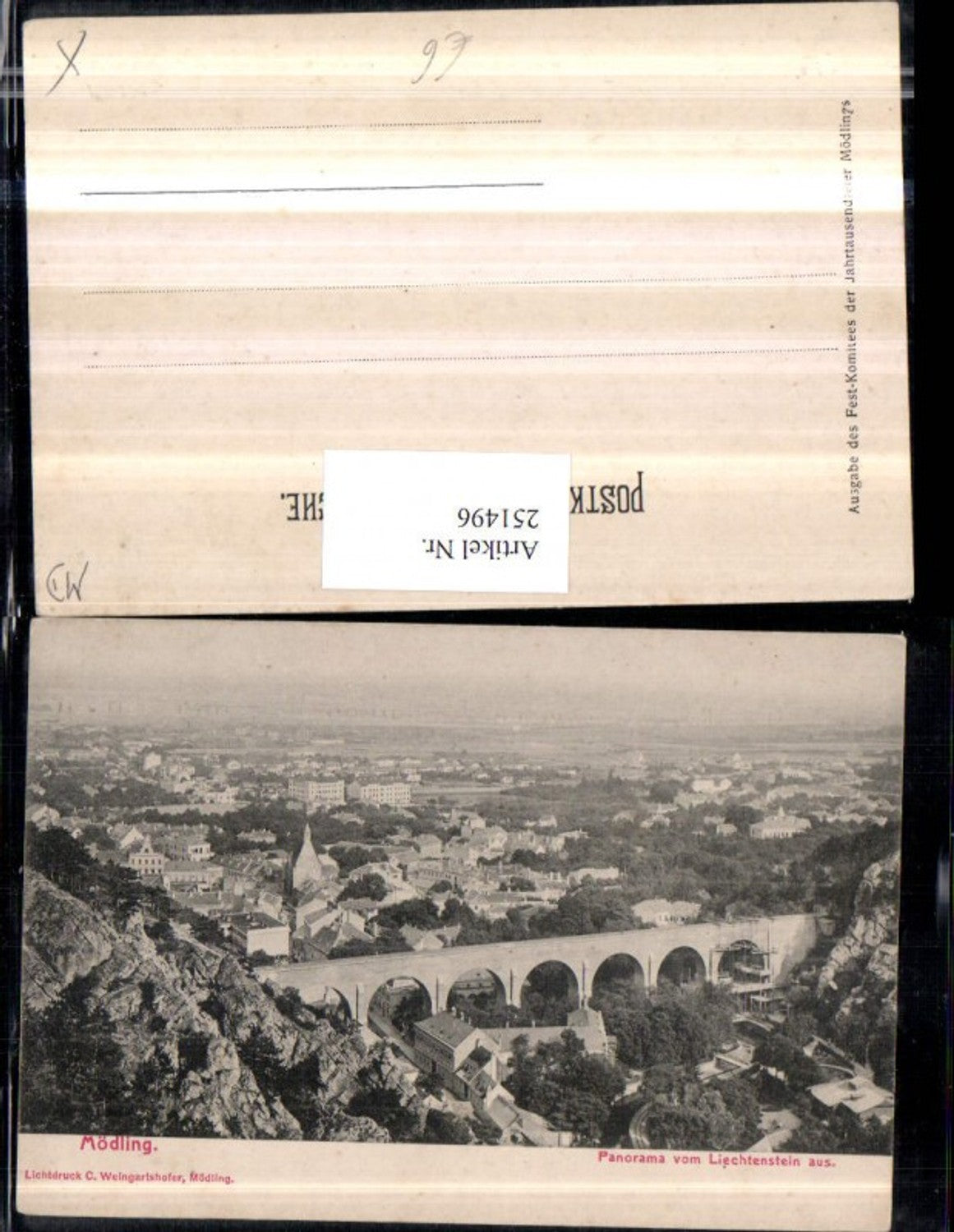 251496,Mödling Totale Panorama v. Liechtenstein aus Viadukt Brücke