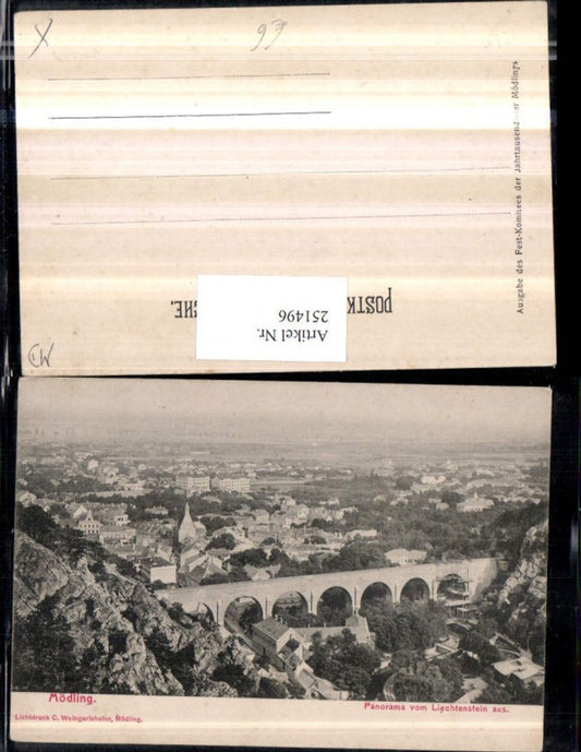 251496,Mödling Totale Panorama v. Liechtenstein aus Viadukt Brücke