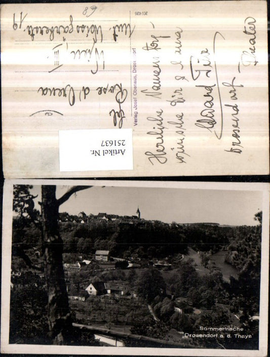 251637,Drosendorf an d. Thaya Teilansicht
