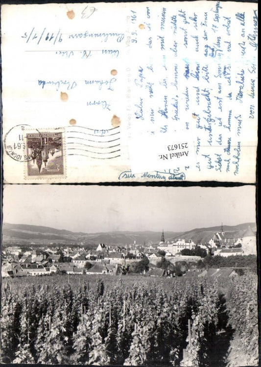 251673,Krems an d. Donau Totale Weinreben