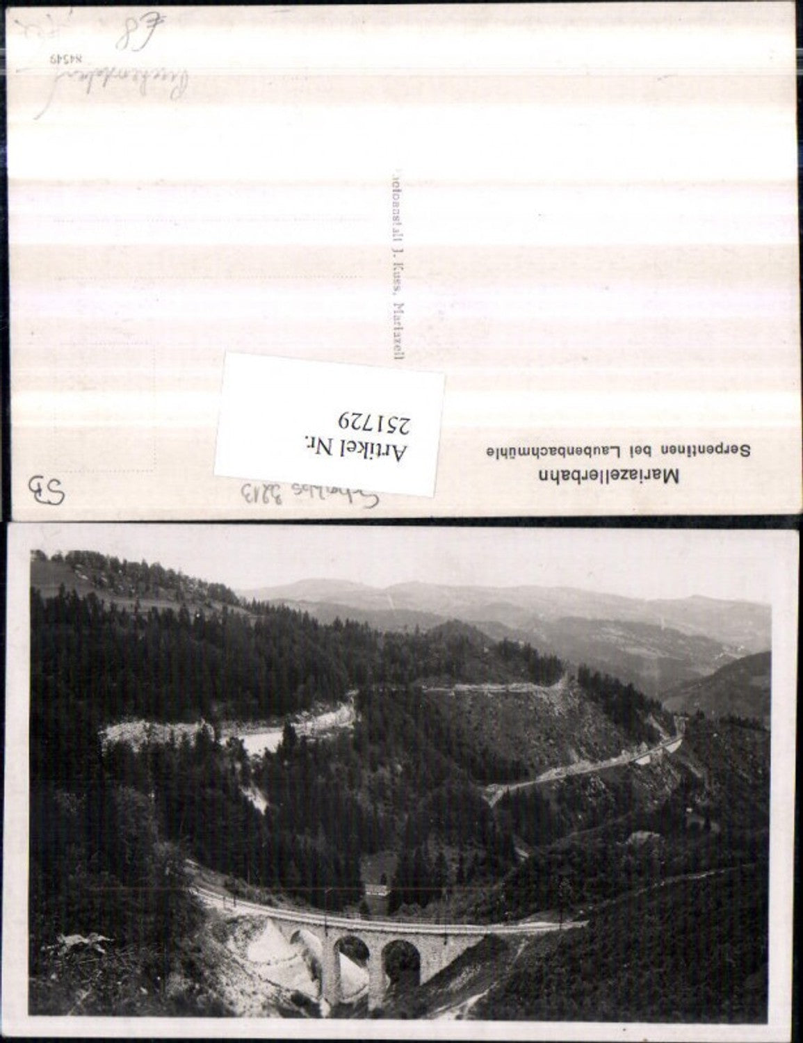 251729,Mariazellerbahn Eisenbahnlinie Serpentinen Viadukt b. Laubenbachmühe Puchenstuben