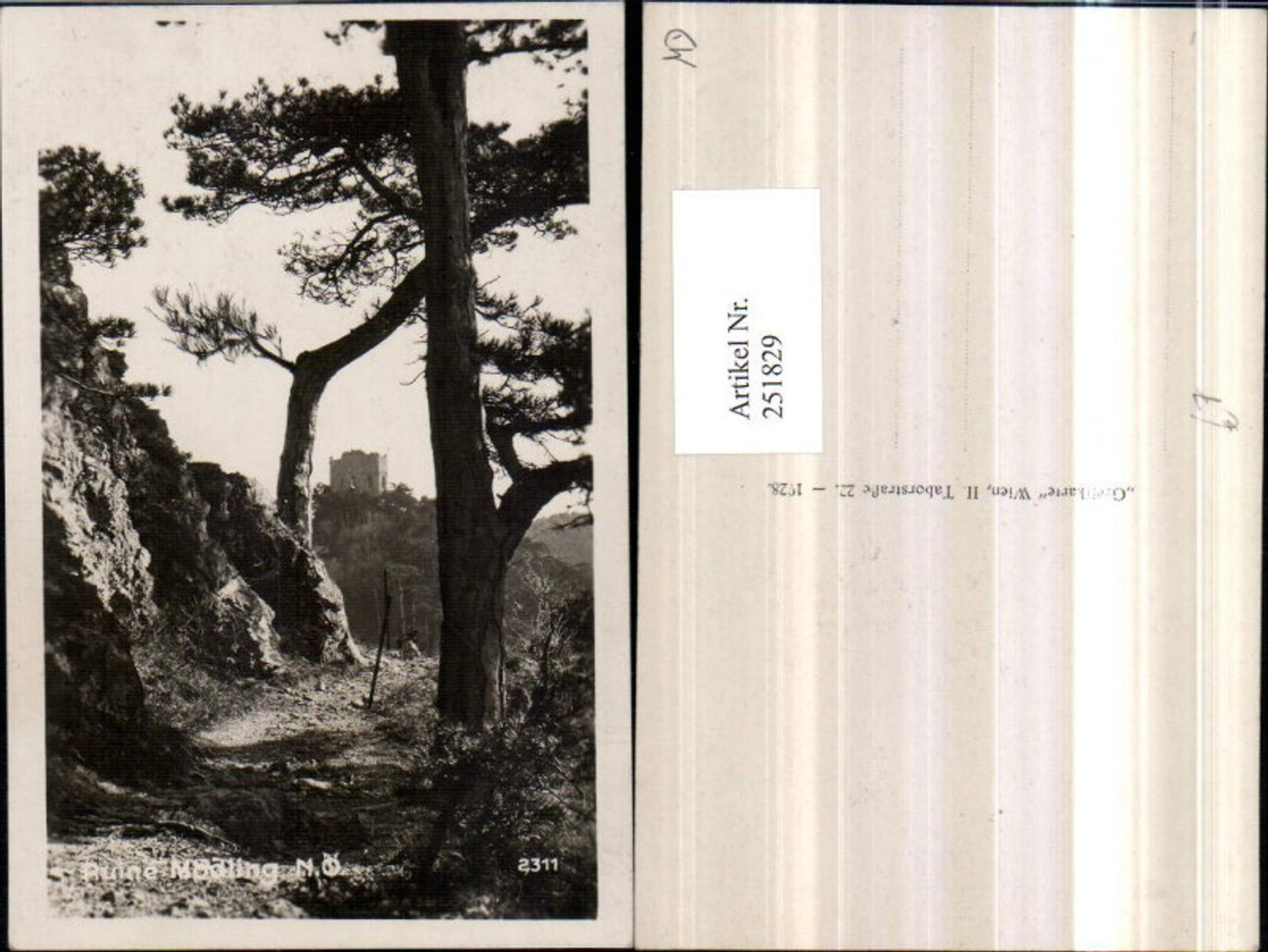 251829,Ruine Burg Mödling Partie