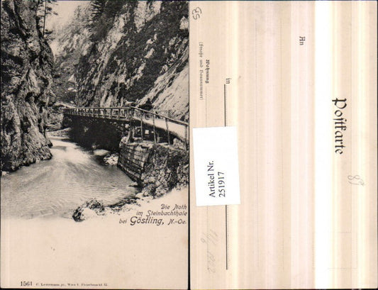 251917,Die Noth im Steinbachtale b. Göstling Partie