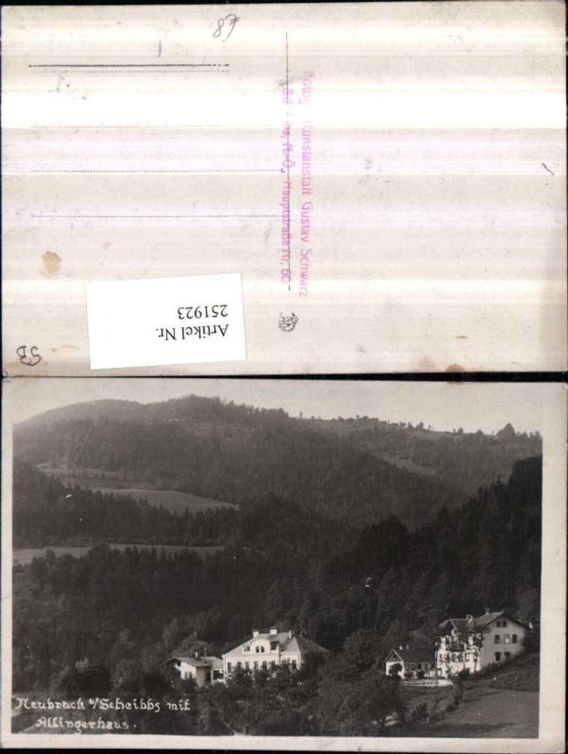 251923,Neubruck b. Scheibbs m. Allingerhaus
