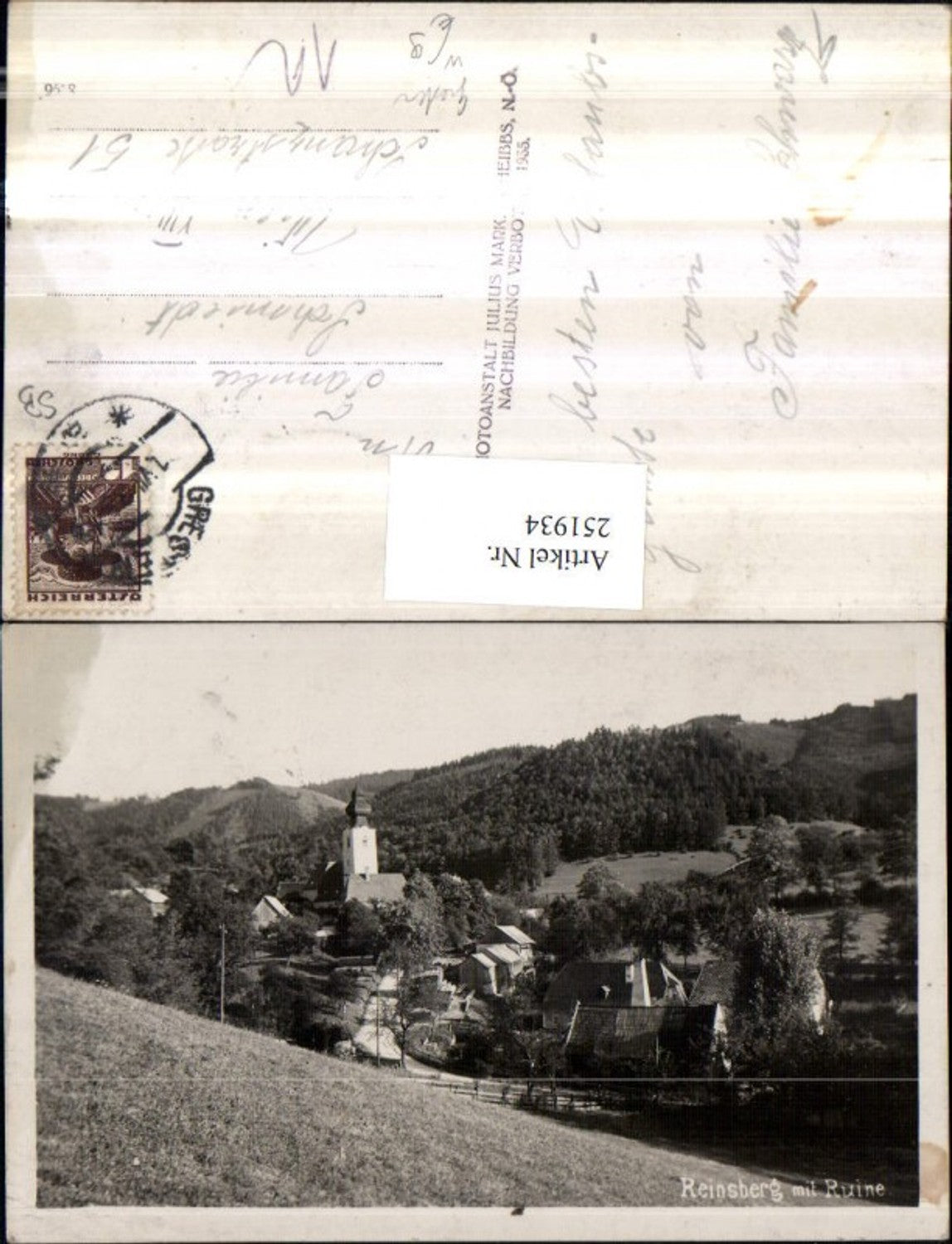 251934,Reinsberg Totale m. Ruine b. Gresten