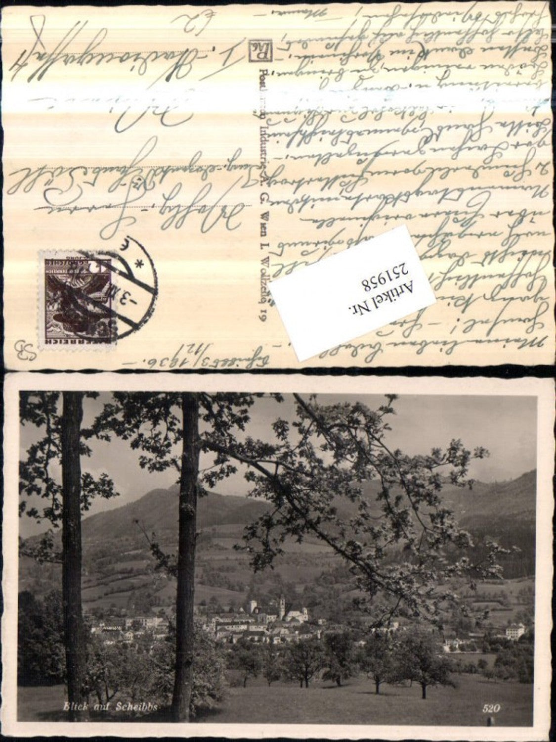 251958,Blick auf Scheibbs Totale