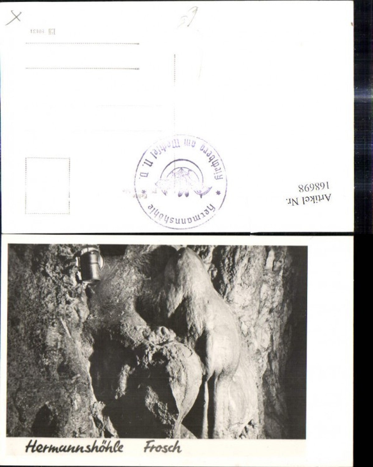 168698,Foto Ak Hermannshöhle Frosch Kirchberg a. Wechsel