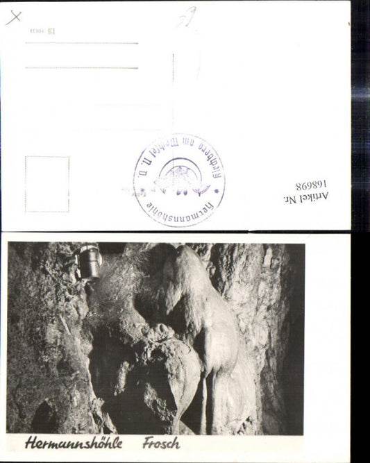 168698,Foto Ak Hermannshöhle Frosch Kirchberg a. Wechsel