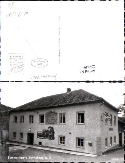 252249,Senftenegg b. Ferschnitz Gathaus zur Linde R. Potzmader