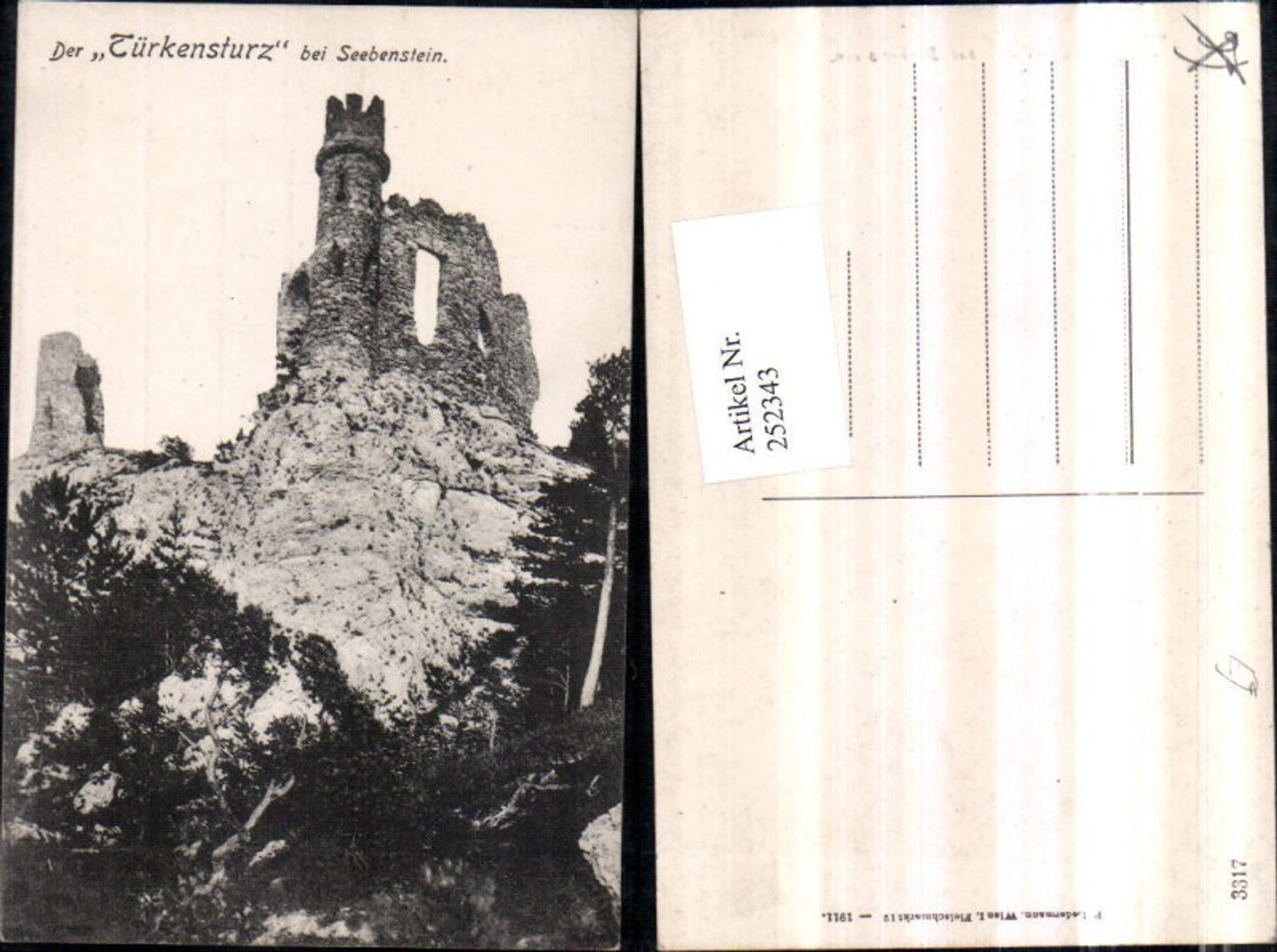 252343,Der Türkensturz Ruine b. Seebenstein