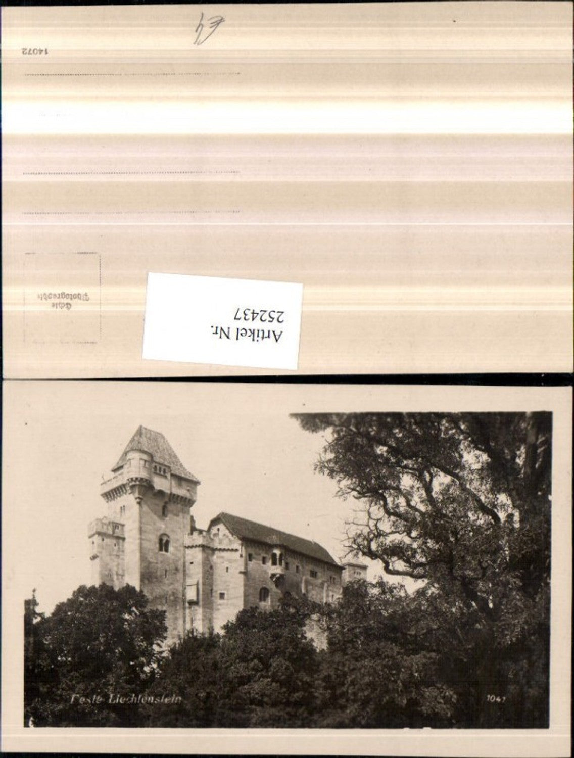 252437,Feste Burg Liechtenstein b. Maria Enzersdorf