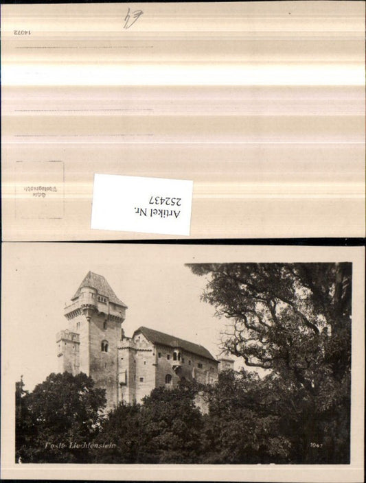252437,Feste Burg Liechtenstein b. Maria Enzersdorf