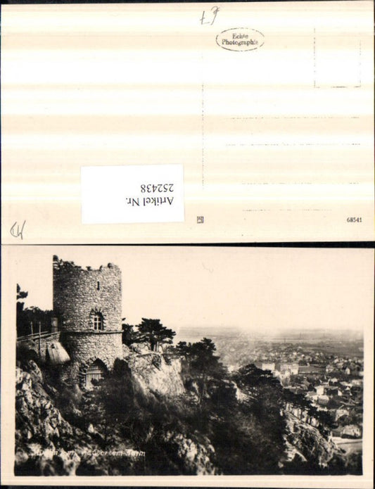252438,Schwarzer Turm m. Blick auf Mödling Teilansicht