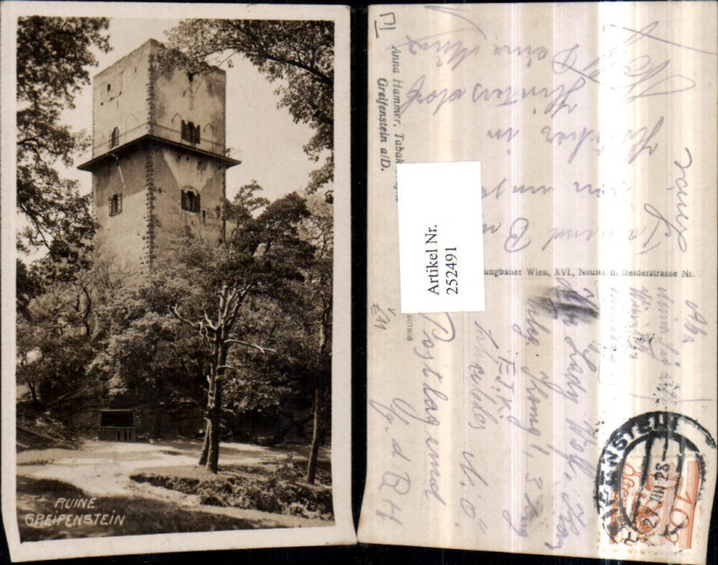 252491,Ruine Greifenstein an d. Donau Turm pub Paul Jungbauer