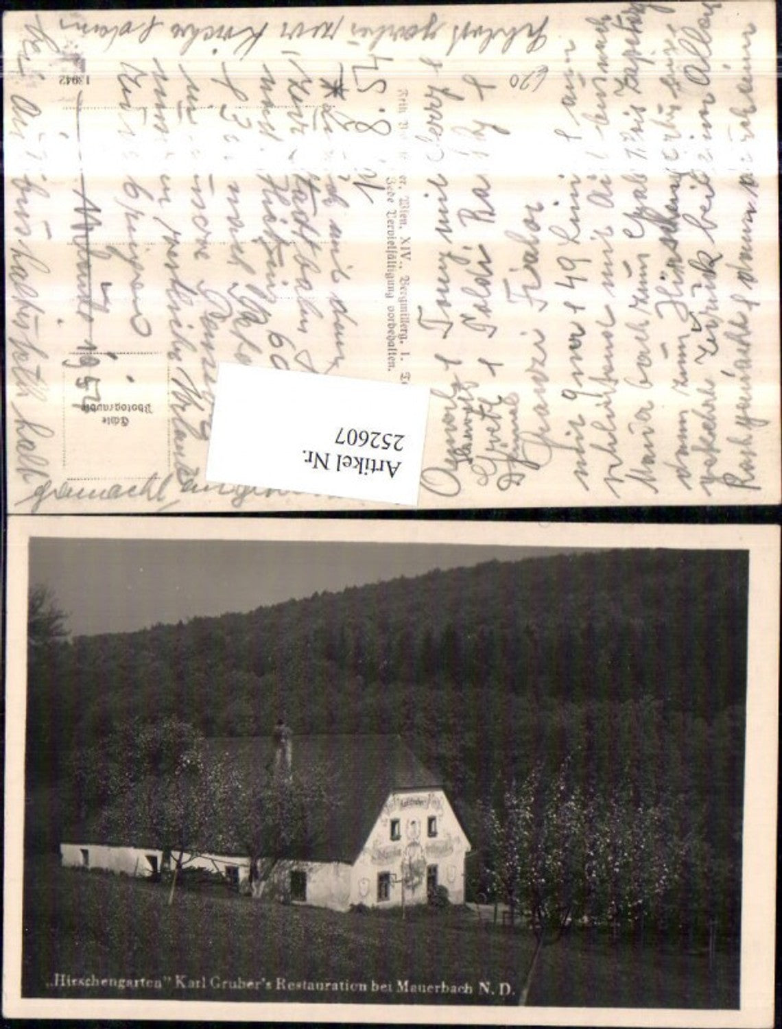 252607,Hirschengarten Karl Gruber Restauration b. Mauerbach