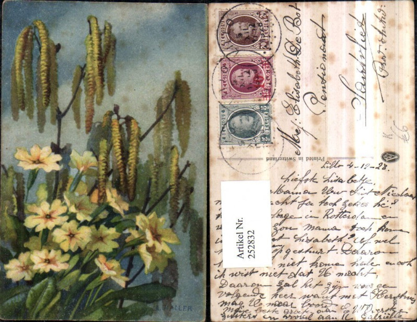 252832,Künstler AK A. Haller Blumen Primeln Birkenfrucht Zweige