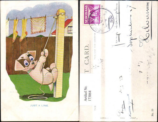 173064,Künstler Ak Scherz Humor Hund zieht a. Wäscheleine Just a. Line pub Jinky 20