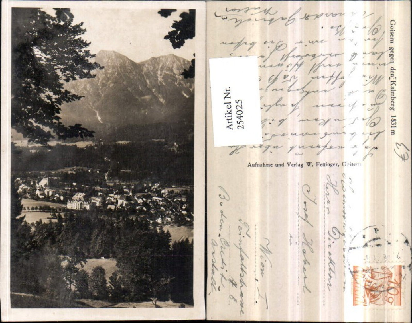 254025,Goisern Totale geg. d. Kalmberg