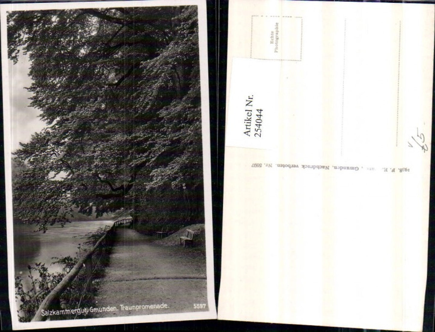 254044,Gmunden Traunpromenade Partie pub F. E. Brandt 5597