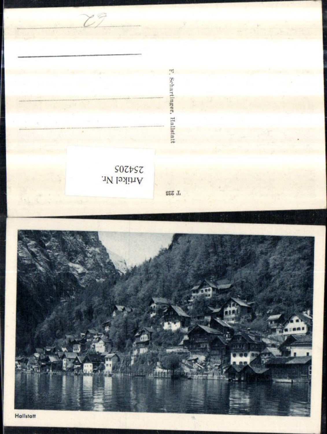 254205,Hallstatt Teilansicht