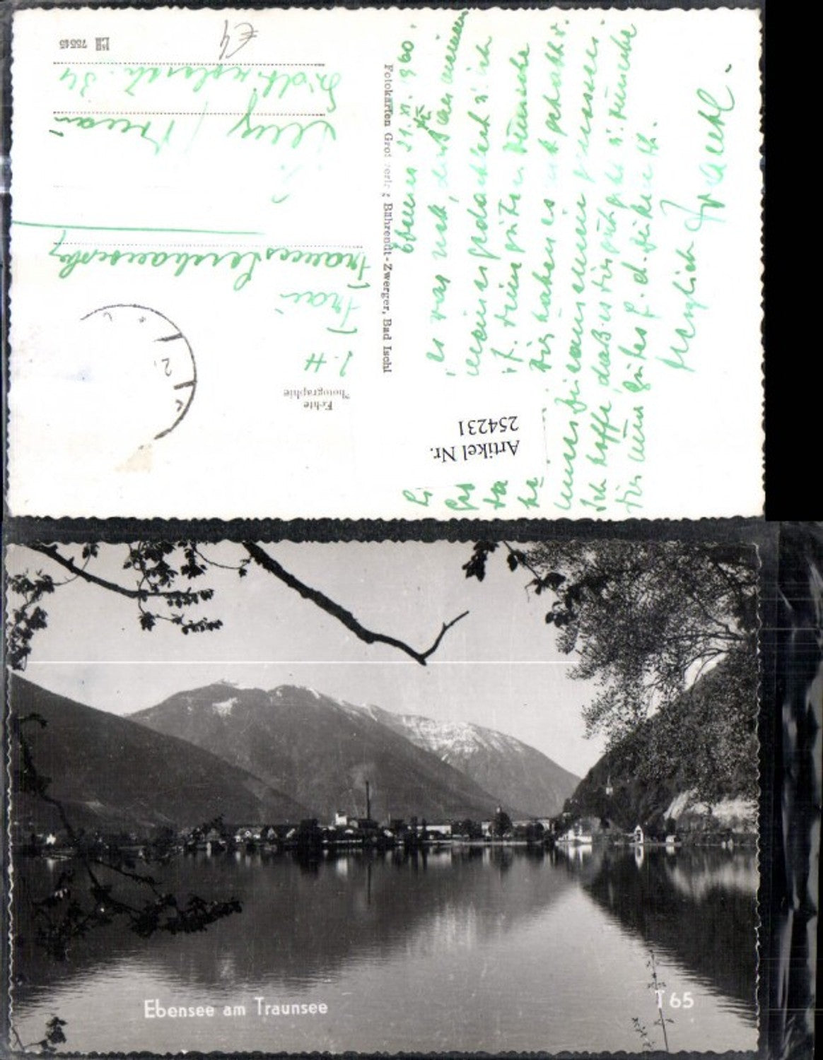 254231,Ebensee am Traunsee Teilansicht Partie