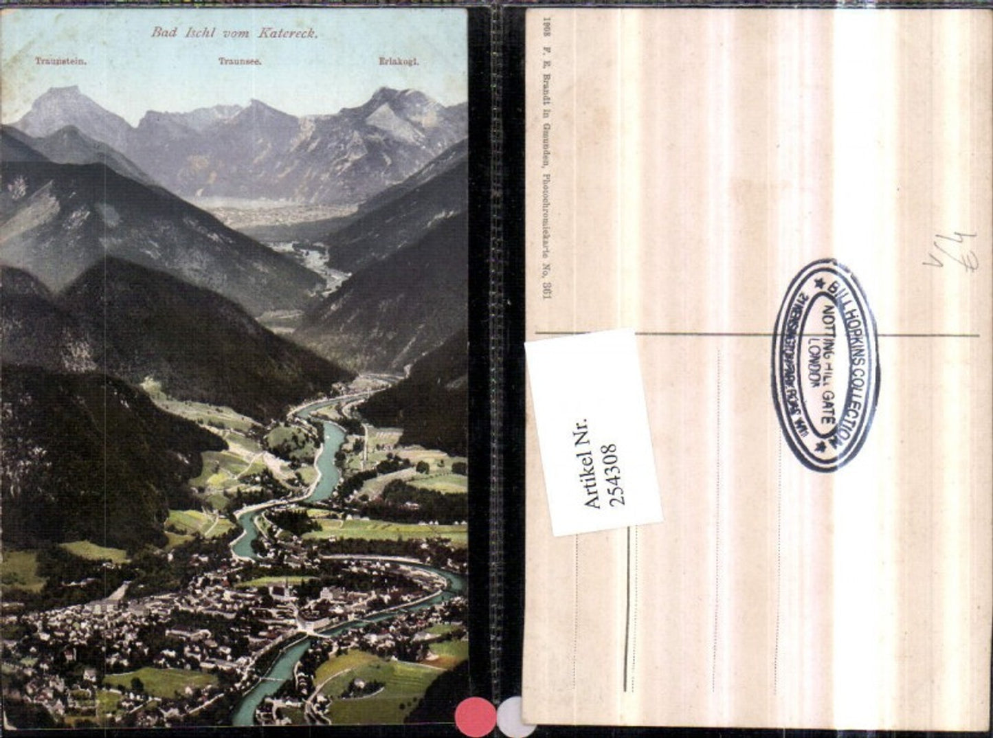 254308,Bad Ischl Totale v. Katereck aus Bergkulisse Traunstein Erlakogl pub F. E. Brandt 361